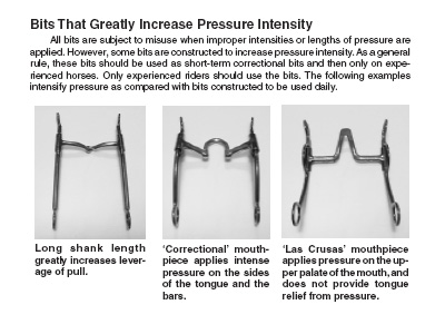 Bits that increase pressure intensity