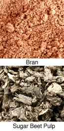 Grain By-Products