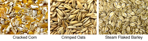 Corn, Oats, and Wheat for horses
