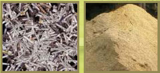Examples of Horse Bedding