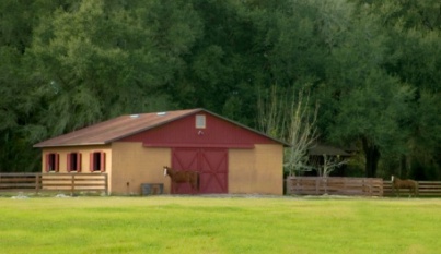 Horse barn and pasture
