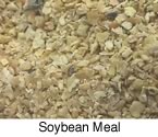 Soybean Meal for horses
