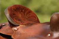 Western Saddle to Ride a Horse