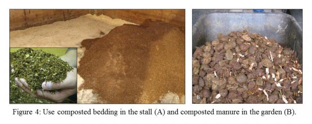 Figure 4. Use composted bedding in the stall and composted manure in the garden.