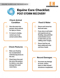 Post-Storm Recovery Checklist