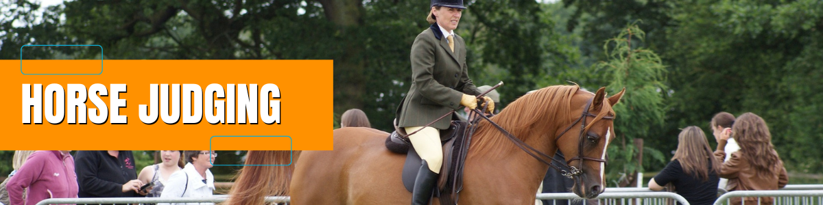 extension horse judging