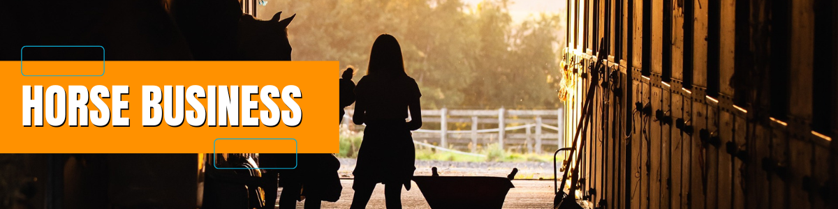 HORSES Plus PAGE HEADER