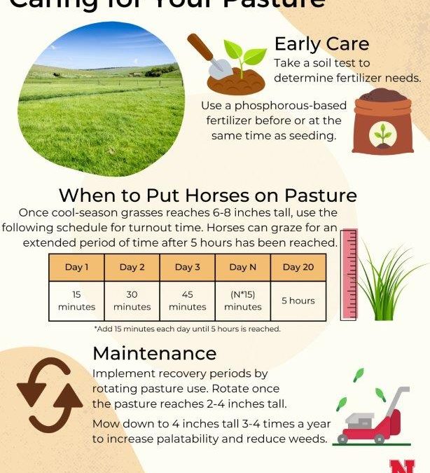 Caring for Your Pasture