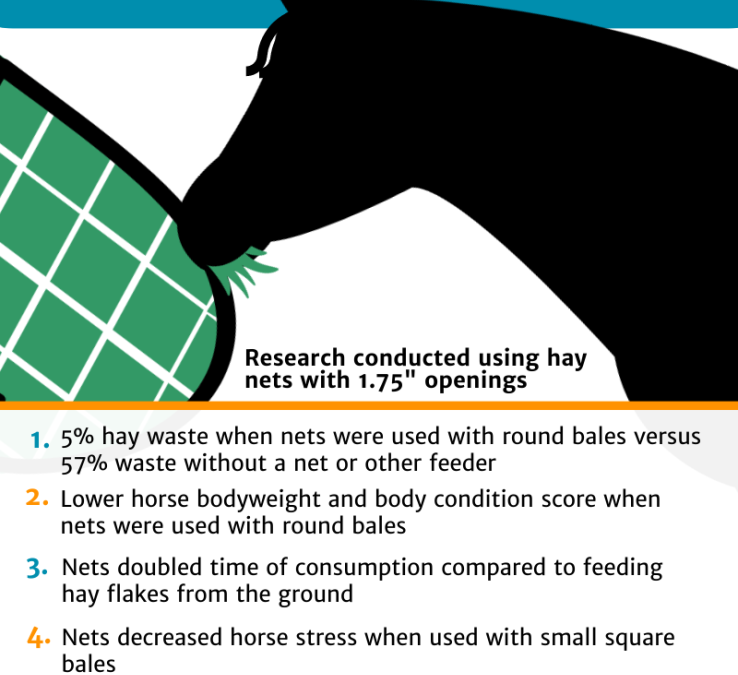 5 Benefits of Slow Feed Hay Nets