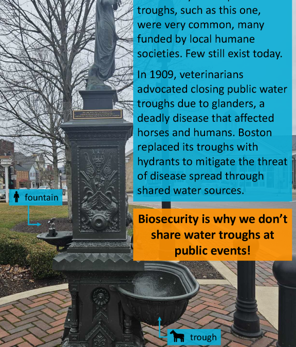 Biosecurity Beginnings – A Window into Understanding Diseases