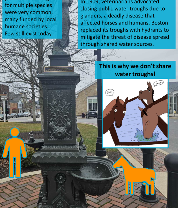 Biosecurity Beginnings – Unraveling Disease Mysteries