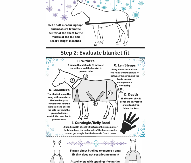 Fitting a Winter Horse Blanket