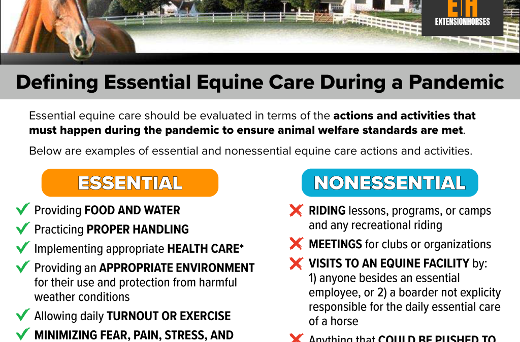 Defining Essential Equine Care During a Pandemic