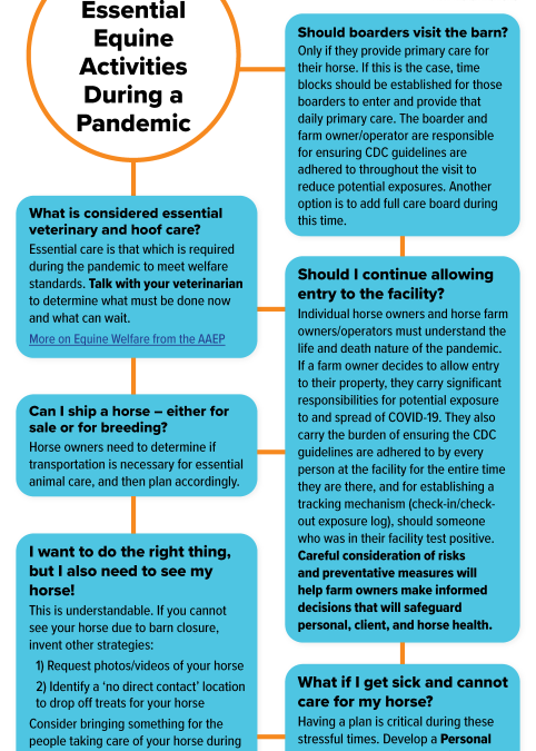 FAQs on Essential Equine Care During a Pandemic