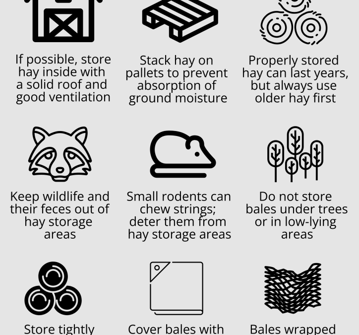 Nine Hay Storage Tips
