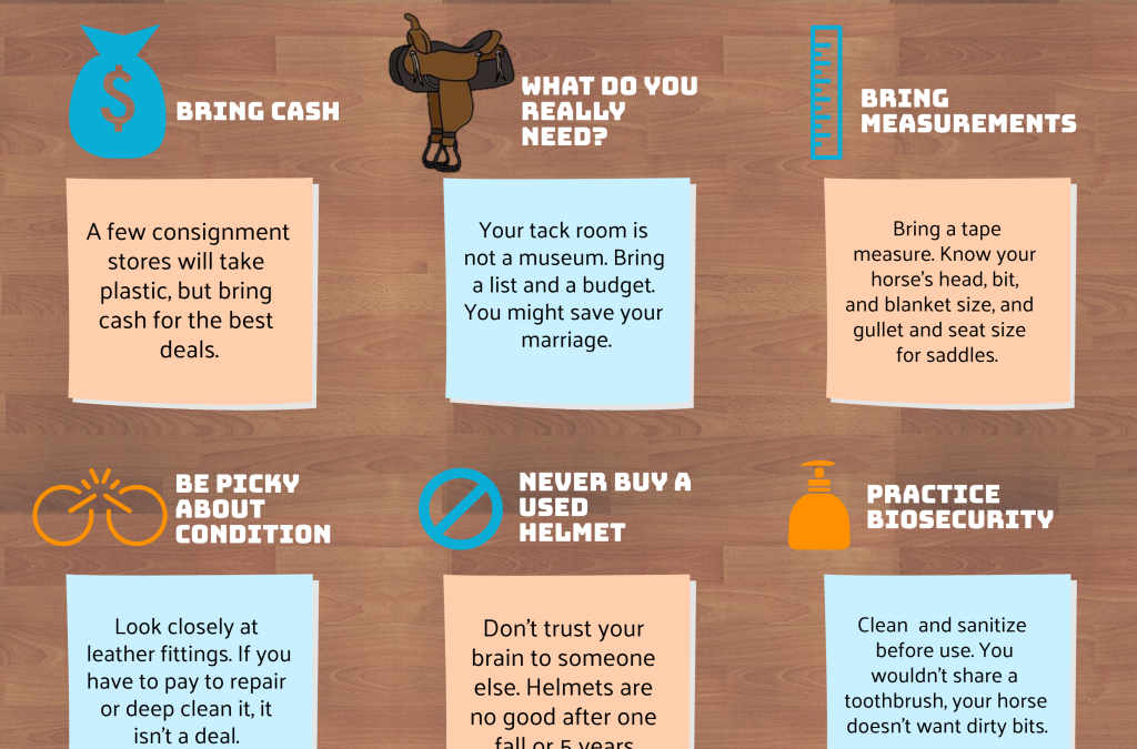 Be a Savvy Shopper at the Secondhand Tack Sale