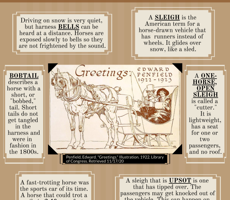 Go for a sleigh ride